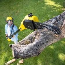 Best Lawn Watering Services  in Wilson, NC